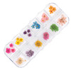 Декор для ногтей сухоцветы в коробке Molly Nails тип B 36 шт - Фото №1