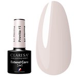 Цветная база 5в1 Claresa EXTEND CARE 5 IN 1 PROVITA 1 5г