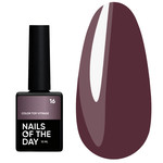 NAILSOFTHEDAY Color top Vitrage 16 without sticky layer translucent plum 10 ml