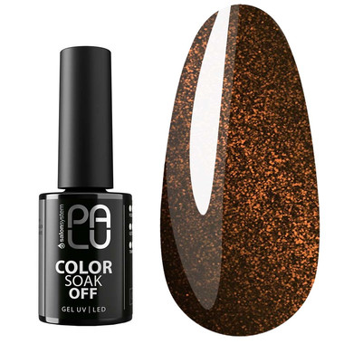 Gel polish PALU BUDAPEST BT3 dark brown cat eye 6 g - Фото №1