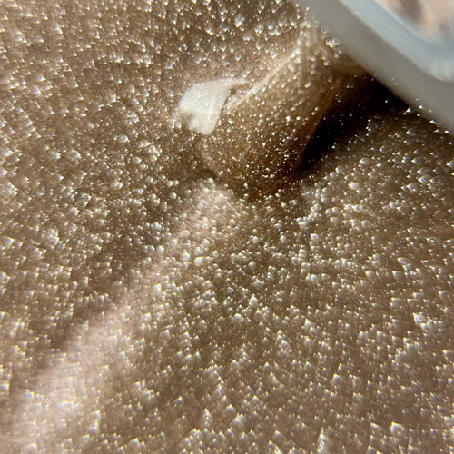 Гель-лак TUFI profi PREMIUM Savage 26 светоотражающий Каир 8 мл (0227079) - Фото №2