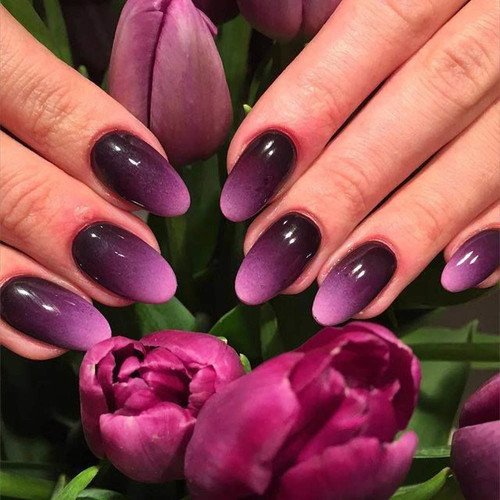 Purple manicure (ombre)