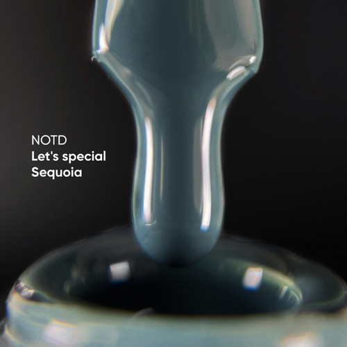 Gel polish NAILSOFTHEDAY Let's special sequoia, 10 ml - Фото №2