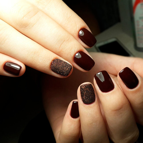 Autumn Shades 2024 (Coffee)