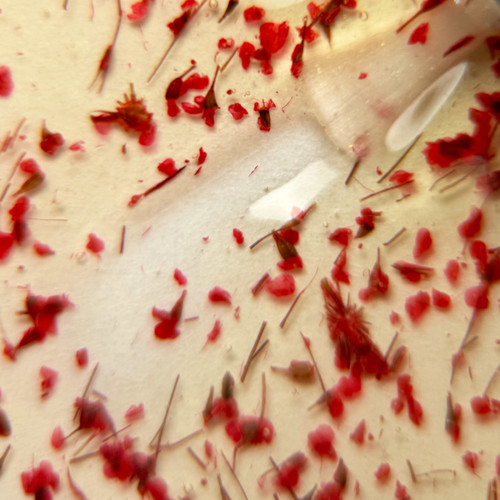 Gel polish TUFI profi PREMIUM Bloom 06 with dried flowers gaitseria 5ml (0311128) - Фото №2