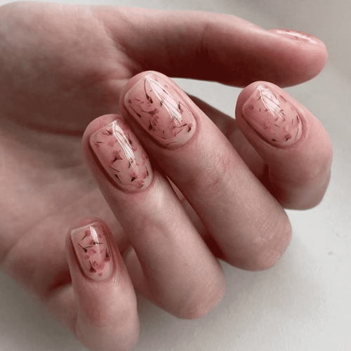 Beige Maniküre (mit getrockneten Blumen)