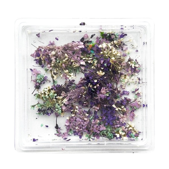 MANY BEAUTY Trockenblumen-Nagelkunst in einer Box, Option 2 - Фото №1