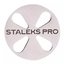 PODODISC Metall STALEKS PRO L (25 mm) Satz austauschbare Pads - Фото №1