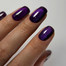 Gel polish DARK Cat Eye 17 dark violet 6 ml - Фото №3