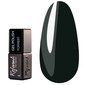 REFORMA Forrest Hybridlack 10 ml (942030)